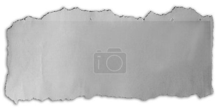 Photo for Piece of torn paper isolated on plain background - Royalty Free Image