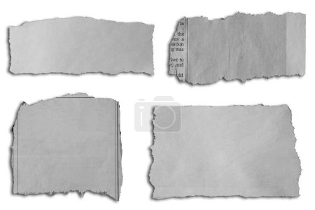 Téléchargez les photos : Quatre morceaux de papier déchiré sur fond blanc - en image libre de droit