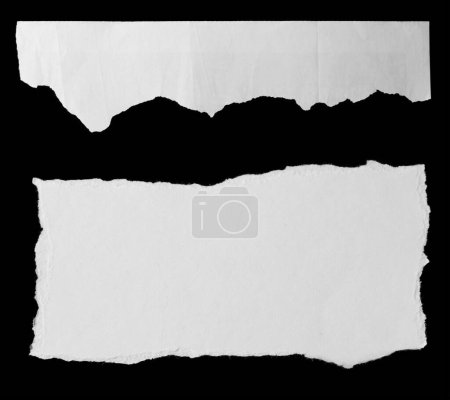Téléchargez les photos : Deux morceaux de journal déchiré sur fond noir - en image libre de droit