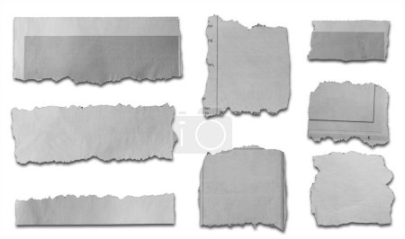 Foto de Ocho pedazos de papel desgarrado sobre fondo blanco - Imagen libre de derechos