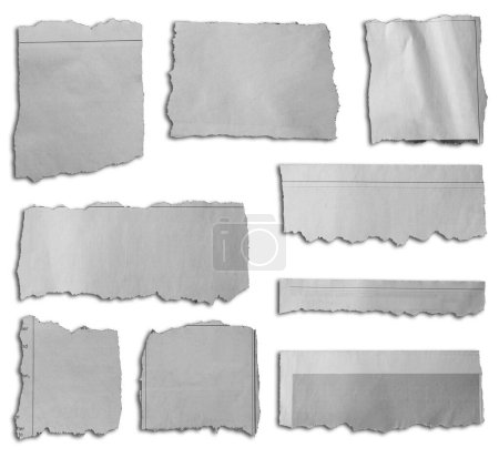 Téléchargez les photos : Neuf morceaux de papier déchiré sur fond blanc - en image libre de droit