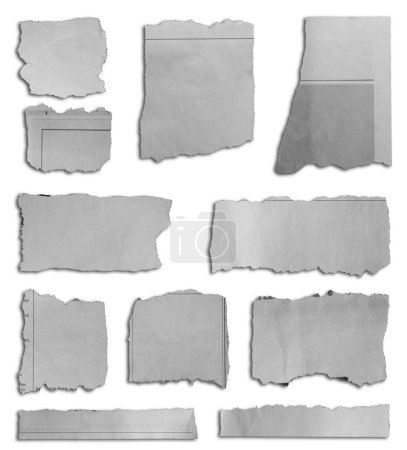 Foto de Once pedazos de papel desgarrado sobre fondo blanco - Imagen libre de derechos