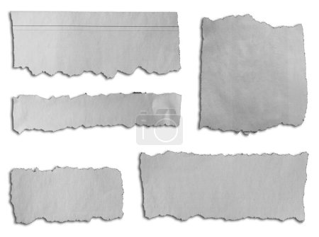 Téléchargez les photos : Cinq morceaux de papier déchiré sur fond blanc - en image libre de droit