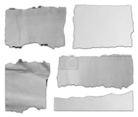 Photo for Five pieces of torn paper on white background - Royalty Free Image