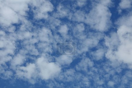 Foto de Nubes blancas esponjosas en un cielo azul - Imagen libre de derechos