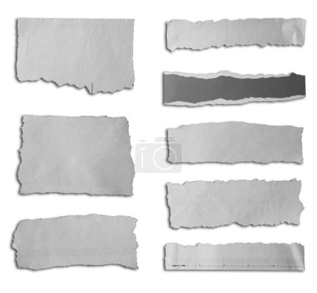 Photo for Eight pieces of torn paper on white background - Royalty Free Image