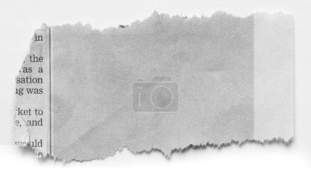 Téléchargez les photos : Morceau de journal déchiré isolé sur fond plat - en image libre de droit