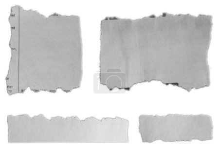 Foto de Cuatro pedazos de papel desgarrado sobre fondo blanco - Imagen libre de derechos