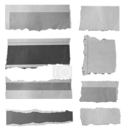 Photo for Eight pieces of torn paper on white background - Royalty Free Image