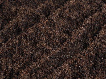 Close-up of the nutrient-rich soil as the basis for successful and sustainable sowing!