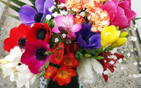 Belles fleurs de printemps comme fond fresia, tulipes et coquelicots