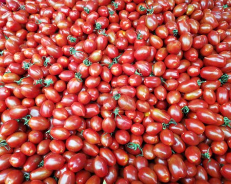 Foto de Tomates rojos frescos de ciruela larga como fondo. - Imagen libre de derechos