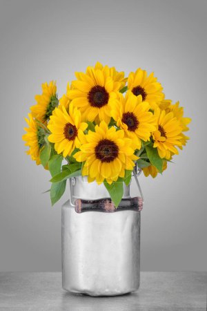 Téléchargez les photos : Canette en aluminium avec un bouquet de tournesols sur fond gris. - en image libre de droit
