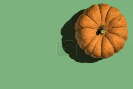 Téléchargez les photos : Orange pumpkin with shadow on green background from above. - en image libre de droit