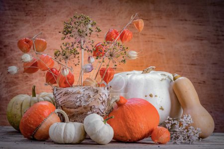Still life of various pumpkins and dry flowers in a pot made of tree bark
