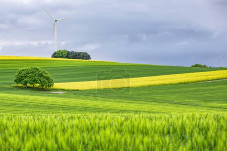 Téléchargez les photos : View of wind turbines green and rapeseed fields - en image libre de droit