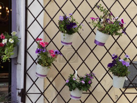 Suspended flower pots with various flowers hanging on a window trellis.