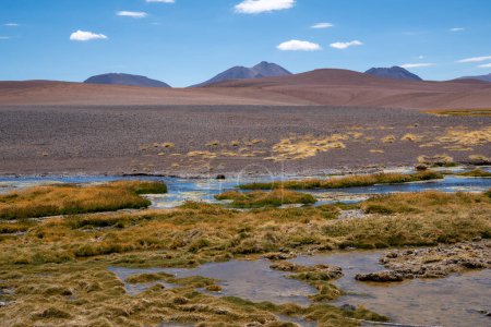 Foto de Vista de la laguna de Quepiaco en el desierto de Atacama, Chile. - Imagen libre de derechos