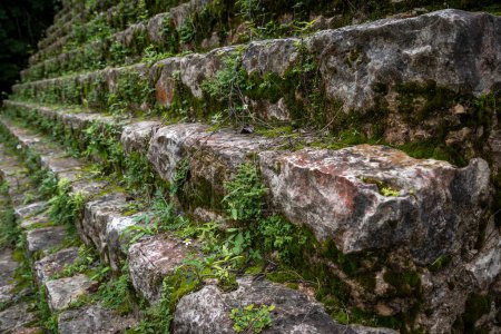 Foto de Ruinas del Templo del Período Clásico Maya en Bonampak, Chiapas, México - Imagen libre de derechos