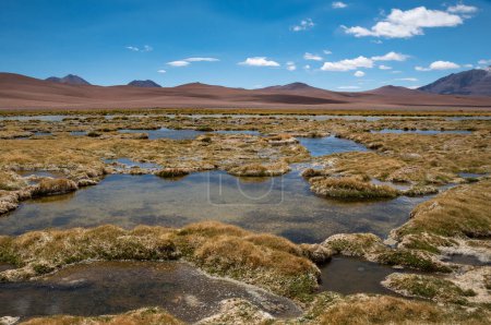 Blick auf die Lagune von Quepiaco in der Atacama-Wüste, Chile.