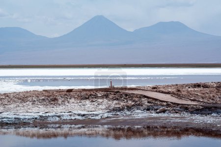 Téléchargez les photos : Vue de Laguna Tebinquiche dans le désert d'Atacama, Chili. - en image libre de droit
