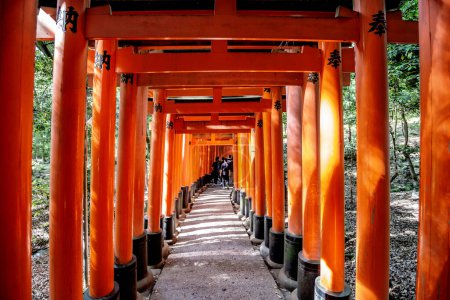 Photo for Torii gates in Fushimi Inari Shrine, Kyoto, Japan - Royalty Free Image