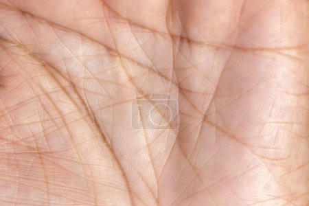 Photo for Lines on the palm of the hand - Royalty Free Image