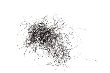 pubic hair fall isolated on white background
