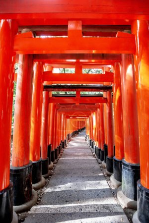 Photo for Torii gates in Fushimi Inari Shrine, Kyoto, Japan - Royalty Free Image