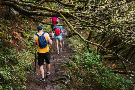 Photo for Group of friends with backpacks and hiking poles walking on forest trail. nature adventures and exploration - Royalty Free Image