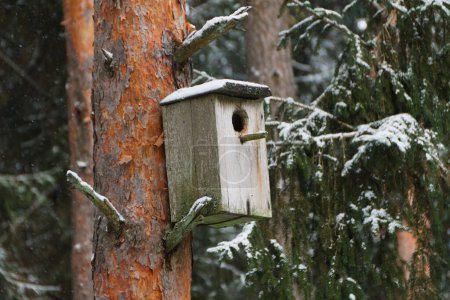 Photo for Wooden birdhouse on a trunk of tree in the park. Small house for birds. Winter season. - Royalty Free Image
