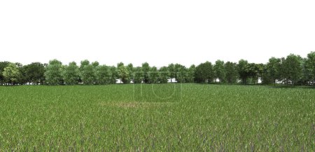 Photo for 3d rendering green grass field with tree forest isolated on white background - Royalty Free Image