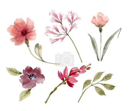 Photo for Pink flowers and plants, a set of watercolor illustrations. - Royalty Free Image