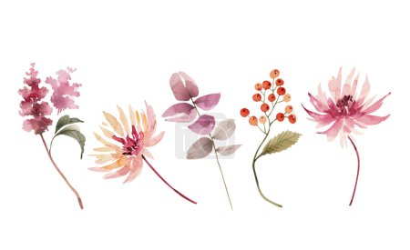 Photo for Set of watercolor illustrations of pink flowers and plants on a white background. hand painted for design and invitations. - Royalty Free Image