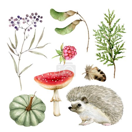 Ensemble botanique de plantes, champignons et animaux sur fond blanc plan rapproché, aquarelle illustration.