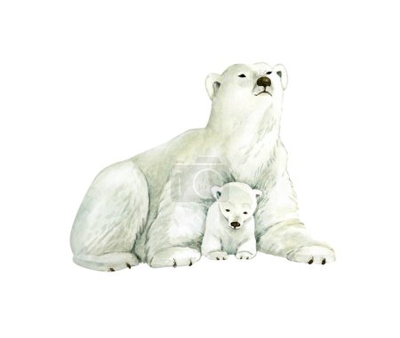 Téléchargez les photos : Ours polaire blanc animal avec ourson, illustration aquarelle. - en image libre de droit