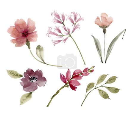 Pink flowers and plants, a set of watercolor illustrations.