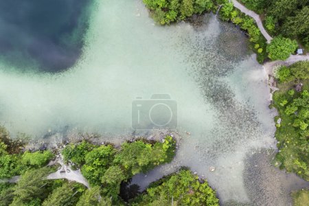 Top-Drohnenblick auf die bayerische Naturlandschaft - Wald und kristallklares Wasser an einem See in den Alpen, Hintersee
