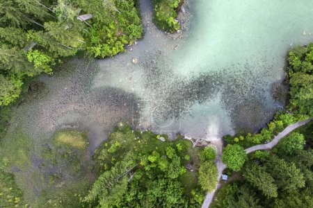 Top-Drohnenblick auf die bayerische Naturlandschaft - Wald und kristallklares Wasser an einem See in den Alpen, Hintersee