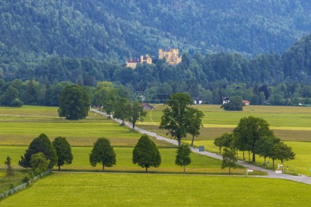 Téléchargez les photos : Château de Hohenschwangau dans les Alpes bavaroises - résidence d'enfance du roi Ludwig II de Bavière, Schwangau, Allgaeu, Bavière, Allemagne - en image libre de droit