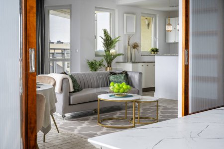 Téléchargez les photos : Design intérieur élégant salon avec espace ouvert cuisine blanche - en image libre de droit