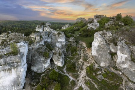 Zborow Mountain is one of the most interesting viewpoints in the entire Krakow-Czestochowa Upland. Rock formations on Zborow Mountain resemble silhouettes of animals and people, which is why they are named.
