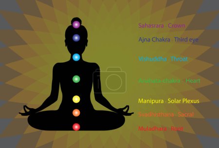 Human silhouette in yoga lotus pose with seven chakras.