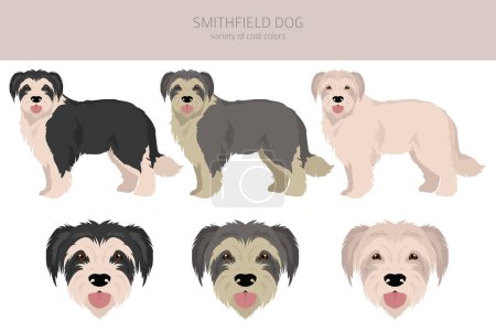 Ilustración de Clipart de perro Smithfield. Todos los colores del abrigo establecidos. Todas las razas de perros características infografía. Ilustración vectorial - Imagen libre de derechos