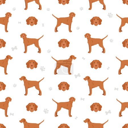 Vizsla wirehaired seamless pattern. Different poses, coat colors set.  Vector illustration