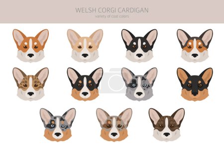 Illustration for Welsh corgi cardigan clipart. Different poses, coat colors set.  Vector illustration - Royalty Free Image
