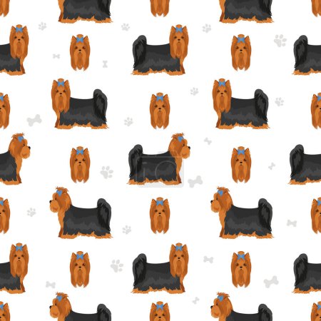 Illustration for Yorkshire Terrier seamless pattern. Different poses, coat colors set.  Vector illustration - Royalty Free Image