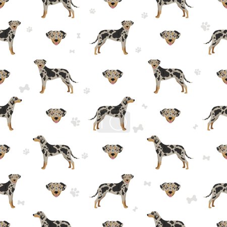 Illustration for American leopard hound all coat colors seamless pattern. Vector illustration - Royalty Free Image