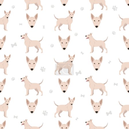 Bull terrier seamless pattern. Vector illustration