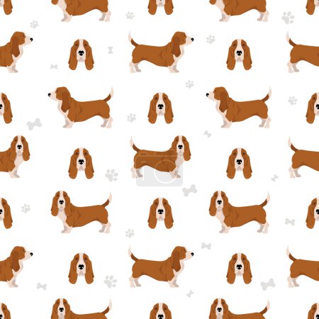 Illustration for Basset Hound dog seamless pattern. Vector illustration - Royalty Free Image
